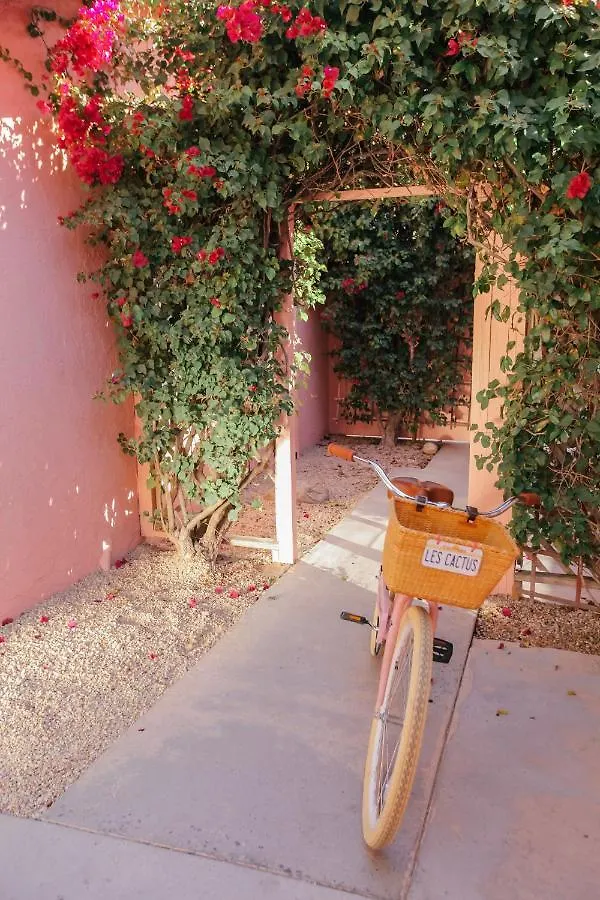 Les Cactus Hotel Palm Springs 3*,  United States